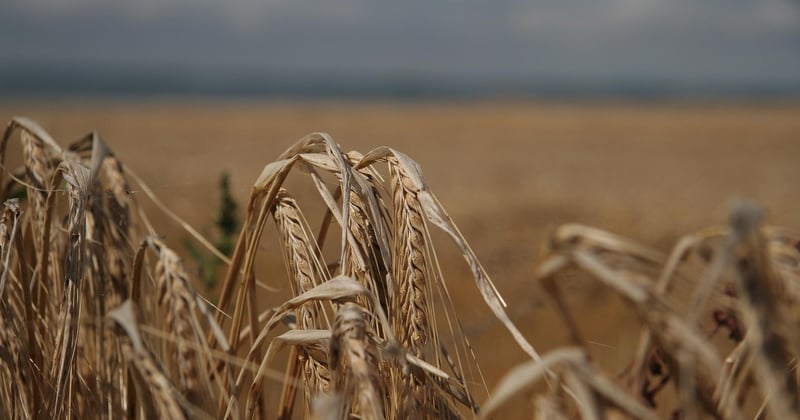 Analdusche Anwendung: So einfach geht die richtige Vorbereitung