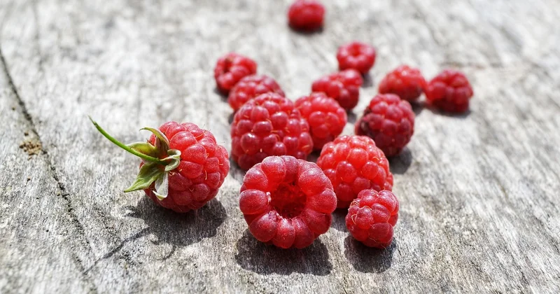 Portainer auf dem Raspberry Pi: Fluch und Segen